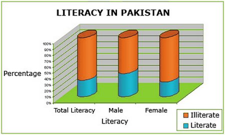 What Steps Can Be Taken by Government To Improve Literacy Rate In Pakistan
