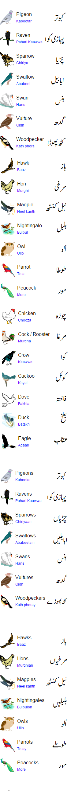 Birds Names In Urdu And English With Pictures