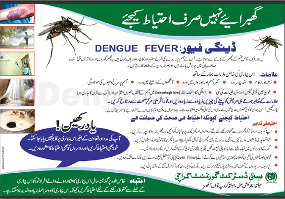 Dengue Fever Symptoms Causes Treatment In Urdu 01