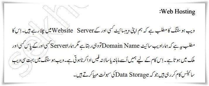 What Is Web Hosting In Urdu