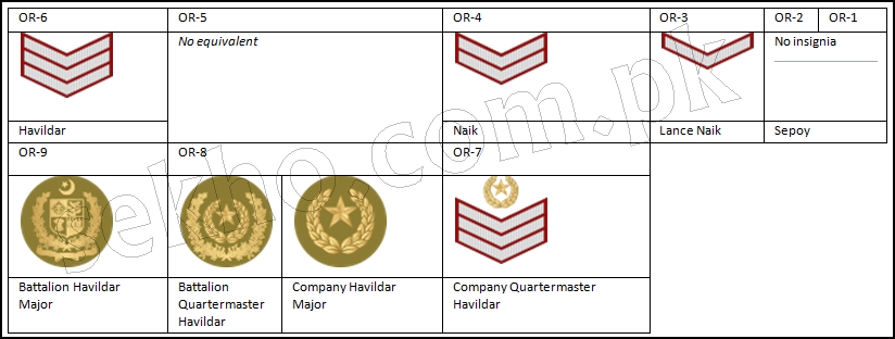 Pakistan Army Ranks And Badges With Salary Pay Scale Non-Commissioned Officers