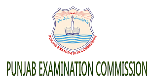 8th Class Result PEC Punjab Examination Commission