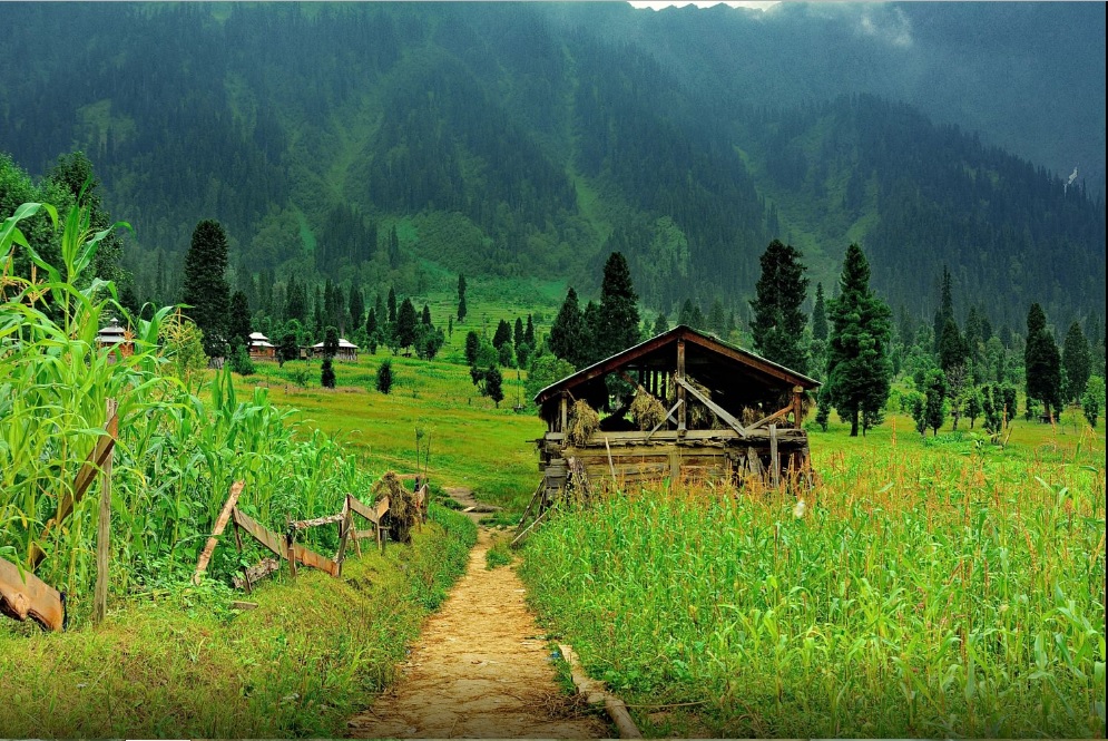 Beautiful Places in Pakistan for Honeymoon