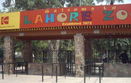 Places To Visit In Lahore With Family And Friends Lahore Zoo