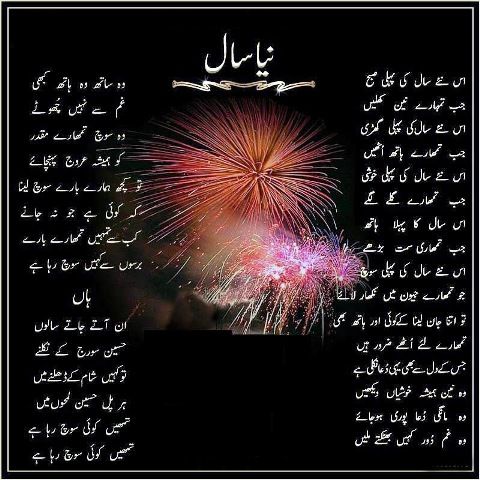 Happy New Year 2024 Poetry And Shayari